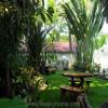 Bangkok Property